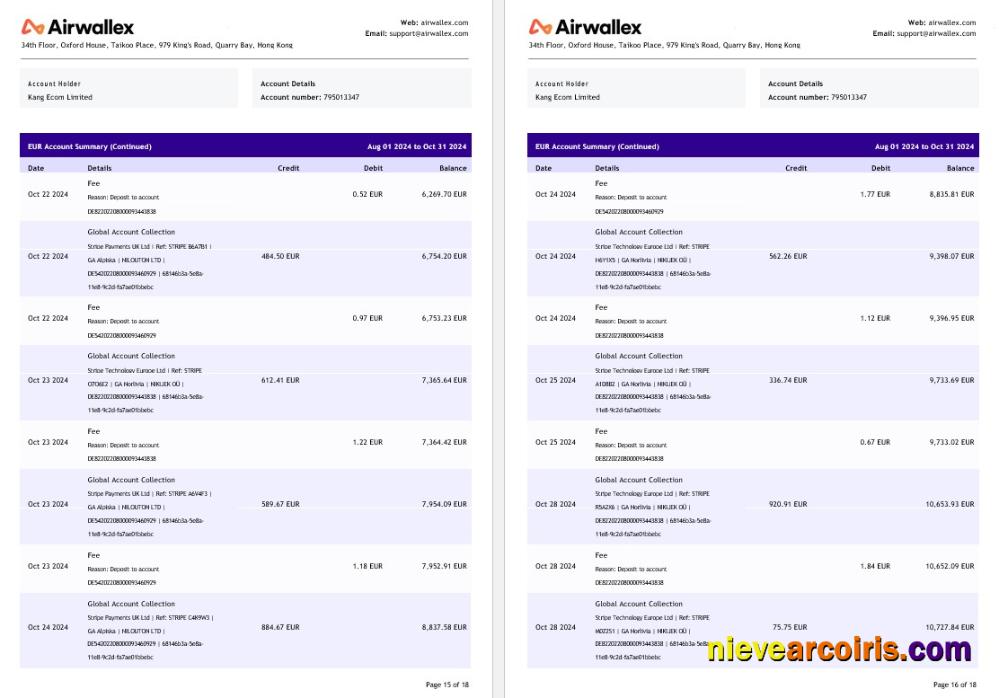 Hong Kong Airwallex Limited account statement, 18 pages 8
